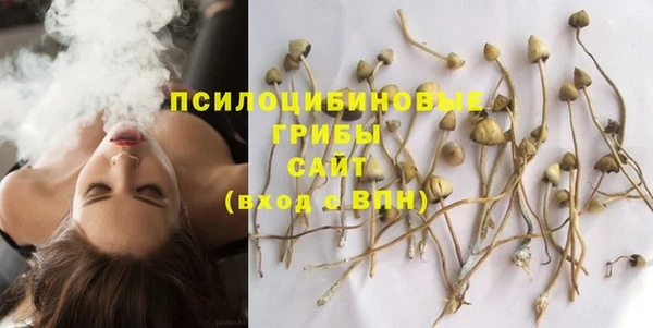 ГАЛЛЮЦИНОГЕННЫЕ ГРИБЫ Гусиноозёрск