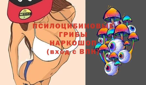 прущий лед Гусь-Хрустальный