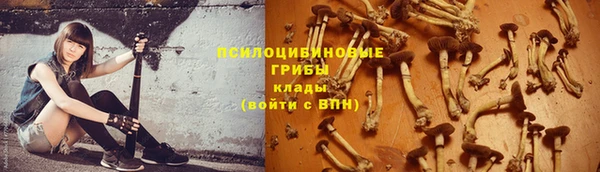 кокаин премиум Гусев