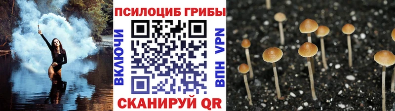Галлюциногенные грибы мицелий  цены   Новый Оскол 